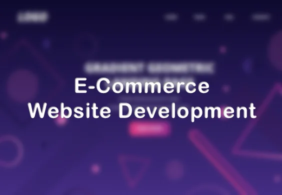 e-Commerce Website